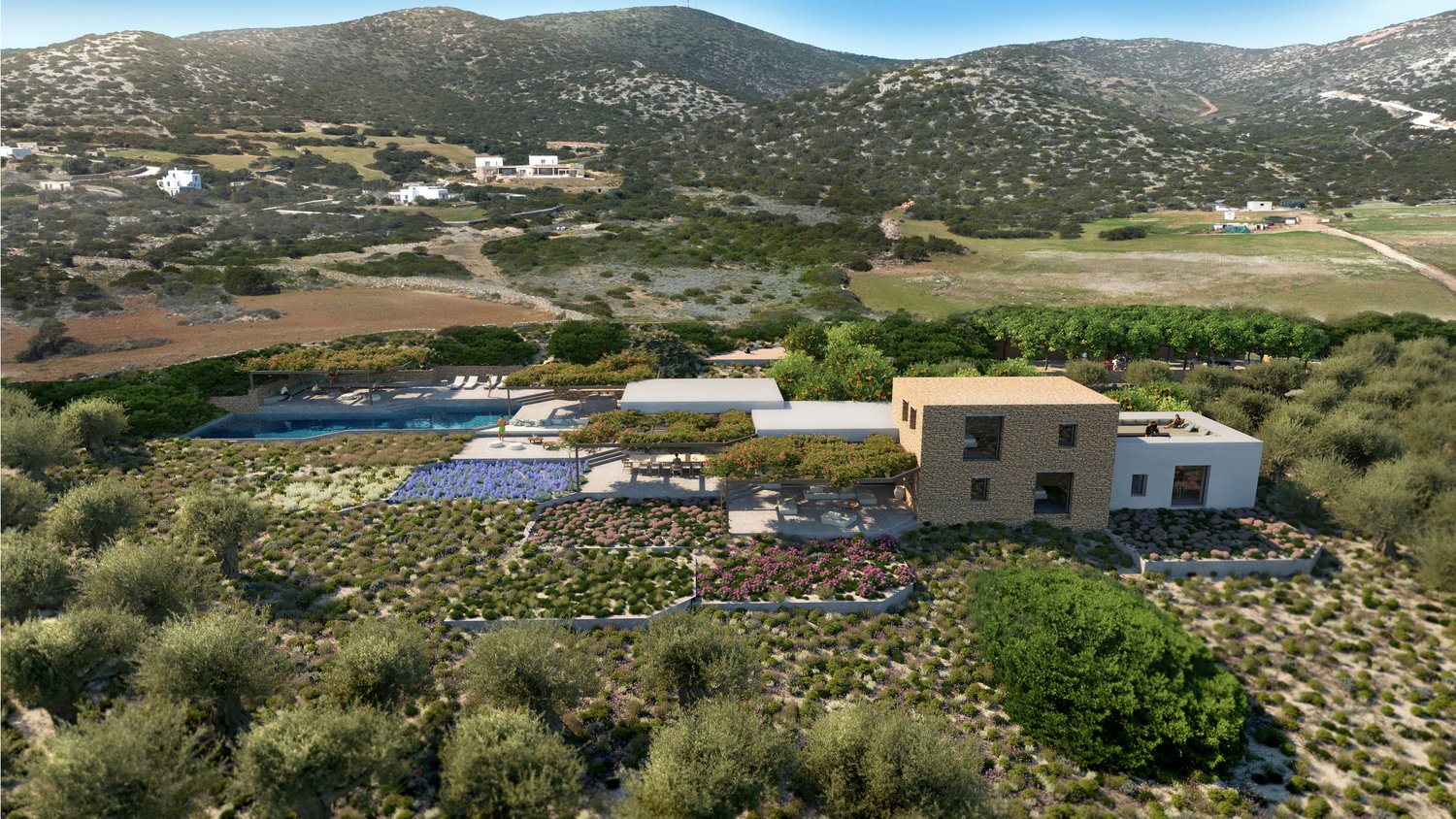 Aerial view of an indicative residence with pool and gardens set among olive groves
