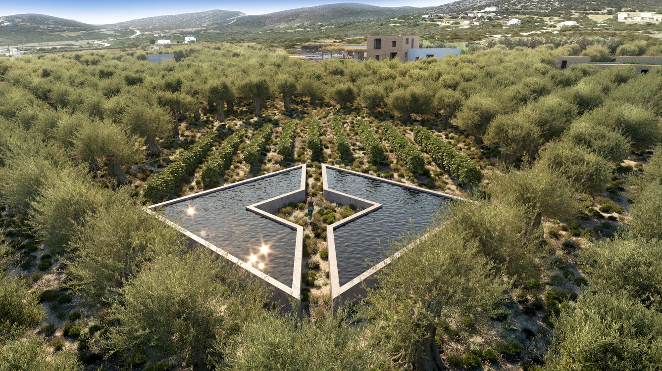 Indicative star-shaped reflecting pool set within an olive orchard